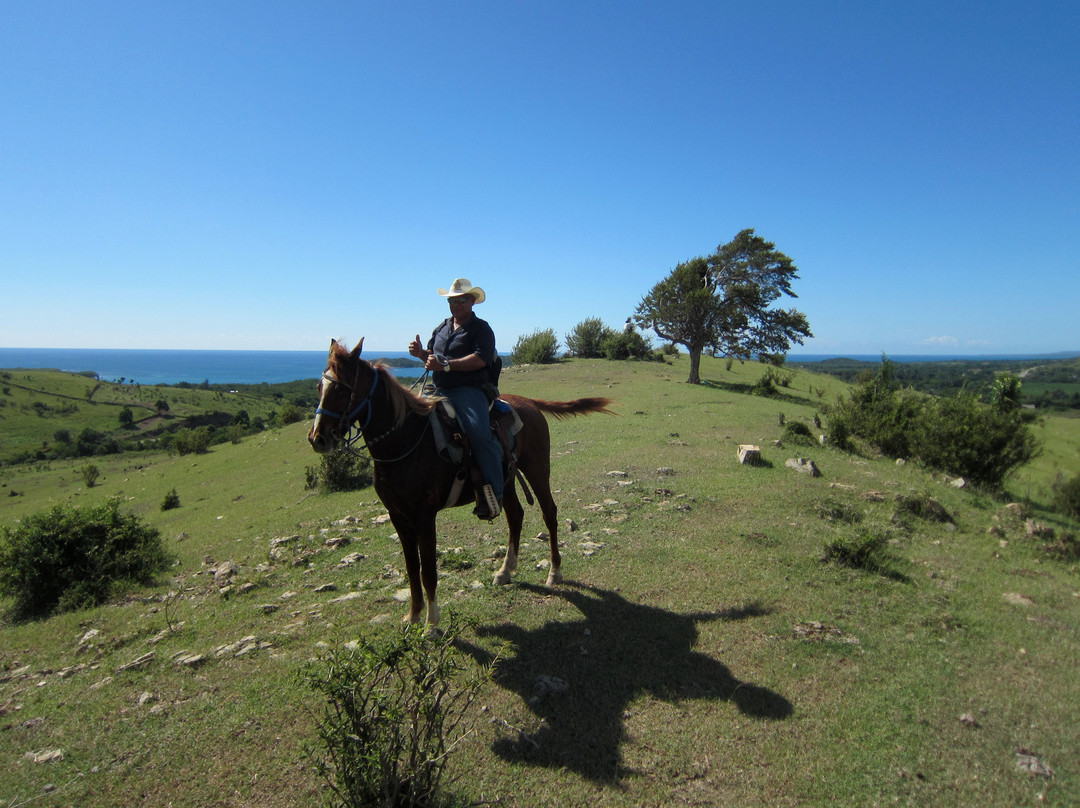 Cuba Horseback Rides景点图片