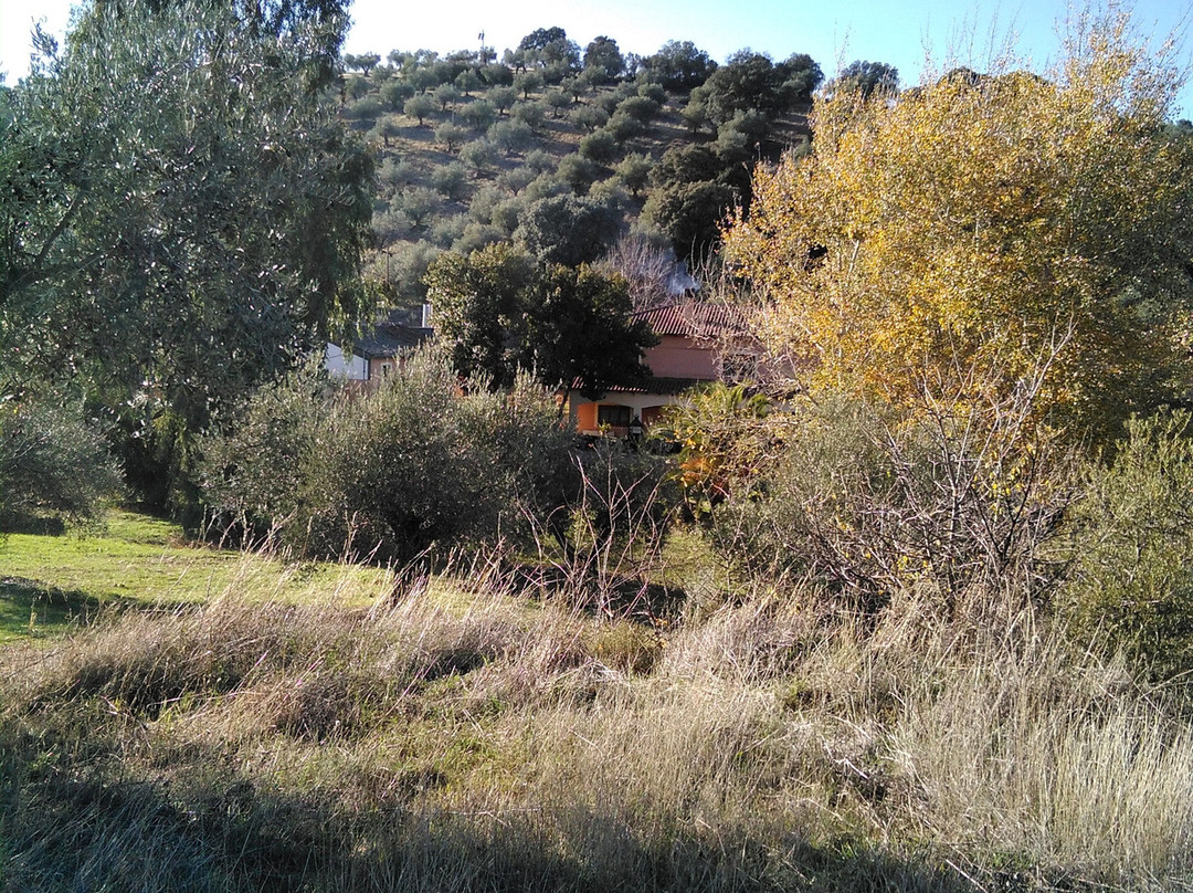 Belvis de la Jara旅游攻略图片
