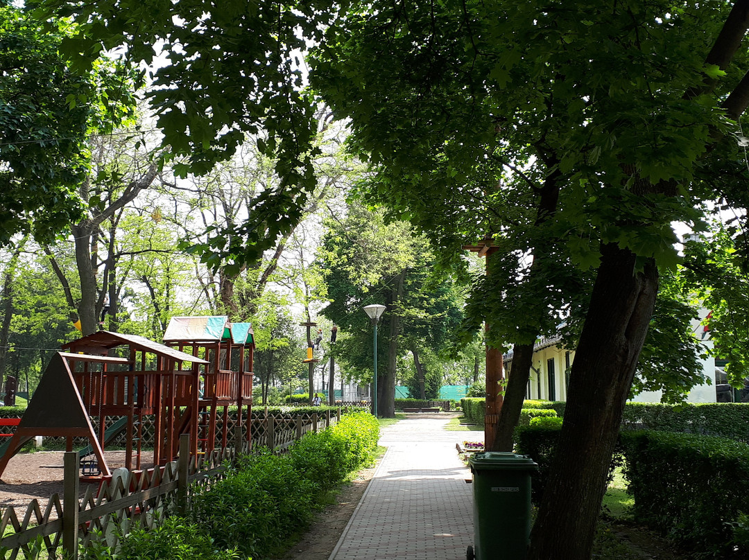 Bokay Kalandpark景点图片