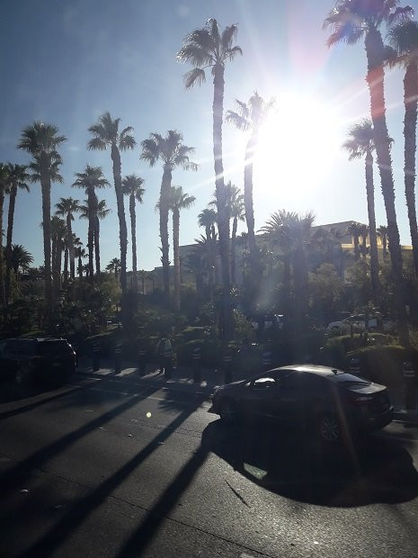 曼德勒湾酒店-拉斯维加斯必去景点