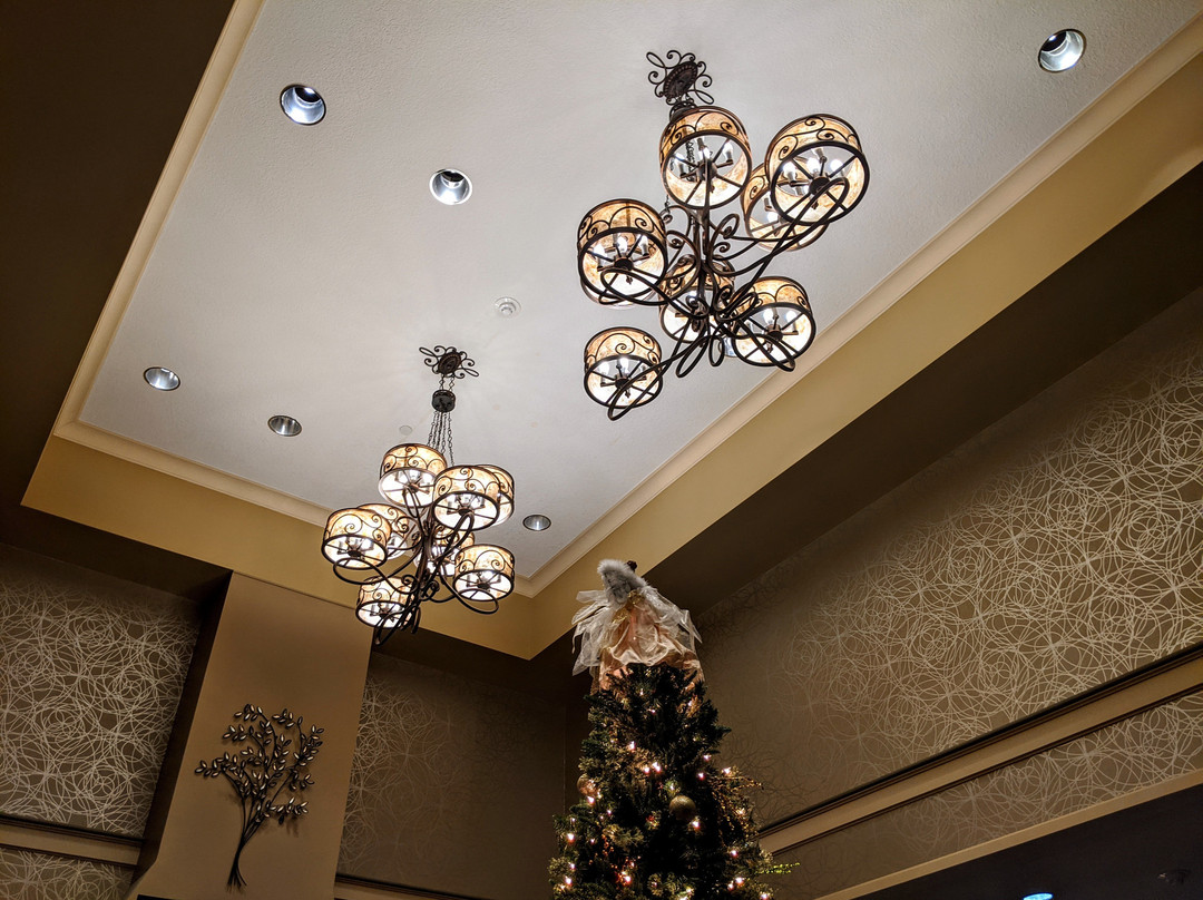 Aspen Suites Rochester主图