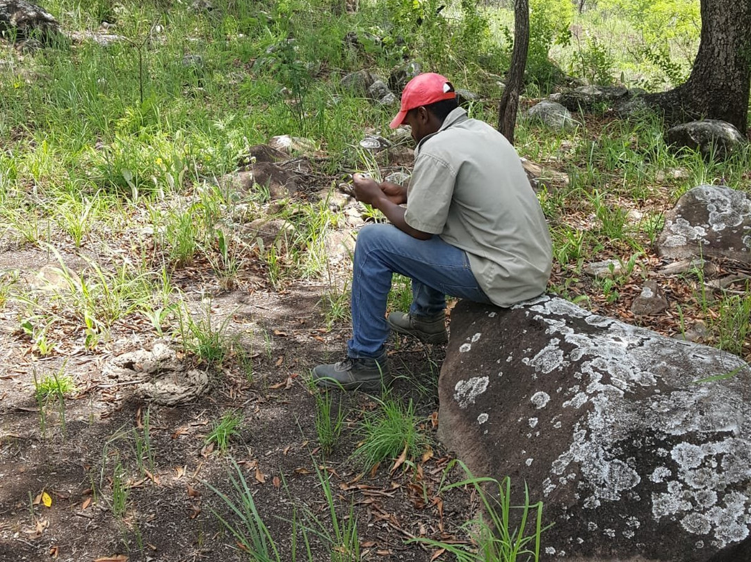 Horse Whispers-雾观必去景点
