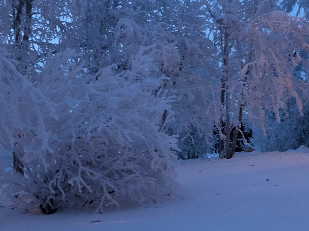 Transun Winter Wonderland景点图片