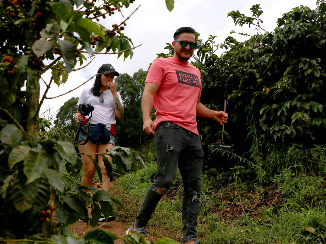 Coffee Tours - Finca La Manchuria-Salgar必去景点