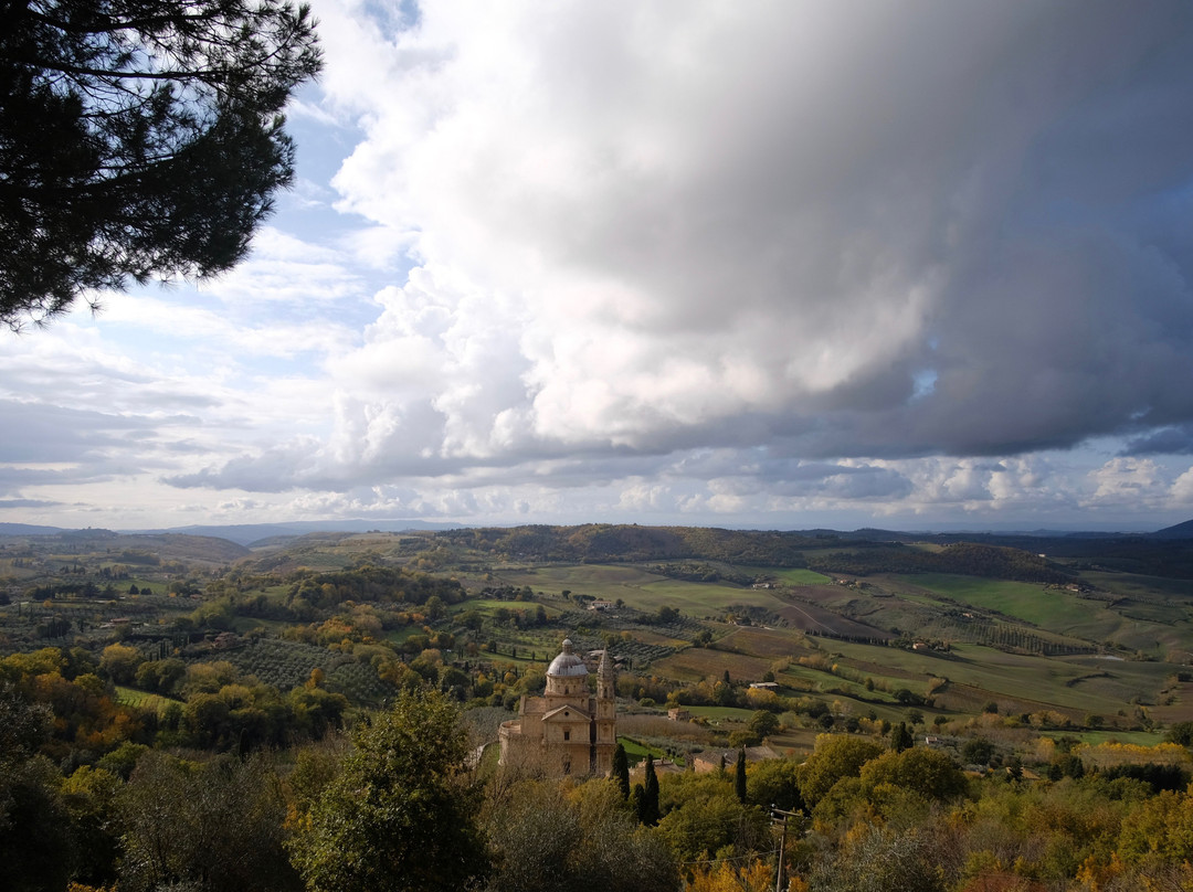 Transfer & Tours Cortona-科尔托纳必去景点