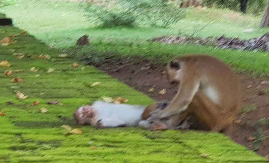 普赖米特中心旅馆主图