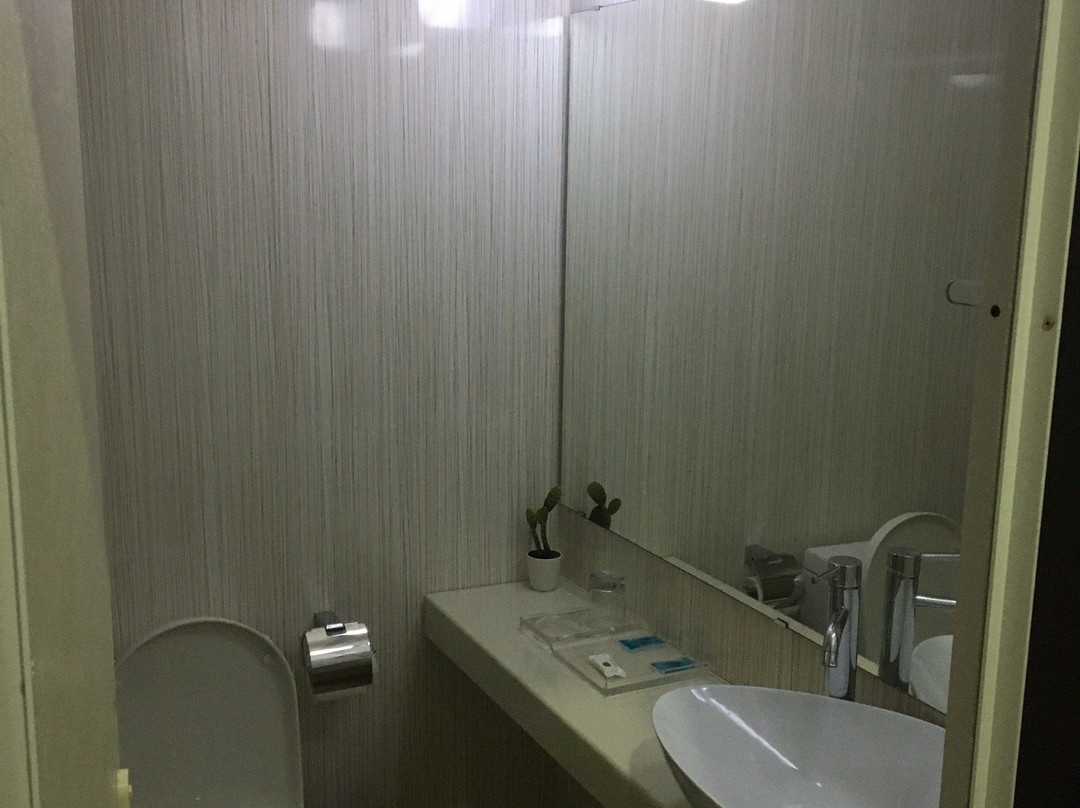 Hotel Palacio Regina主图