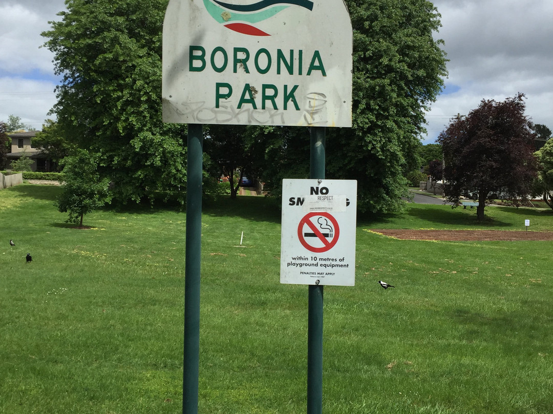 Boronia Street Park-沃拉格尔必去景点
