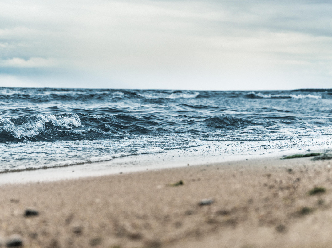 Tanzania Serengeti Safaris-桑给巴尔岛必去景点