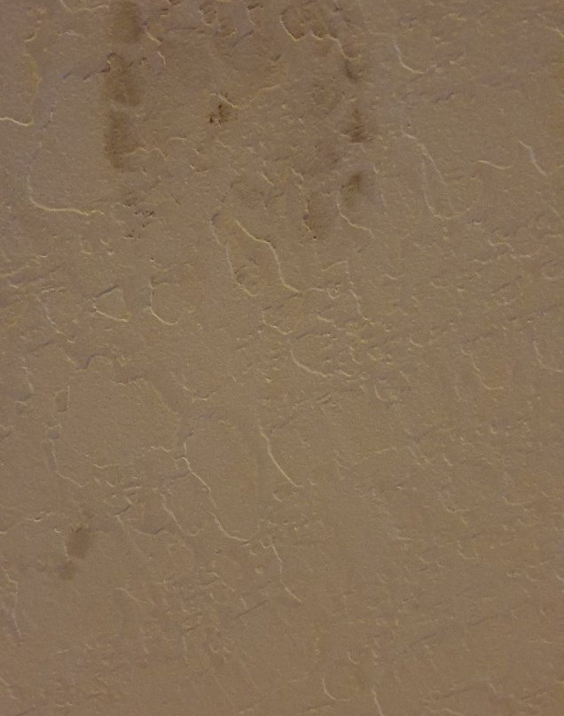 Ranchito Motel主图