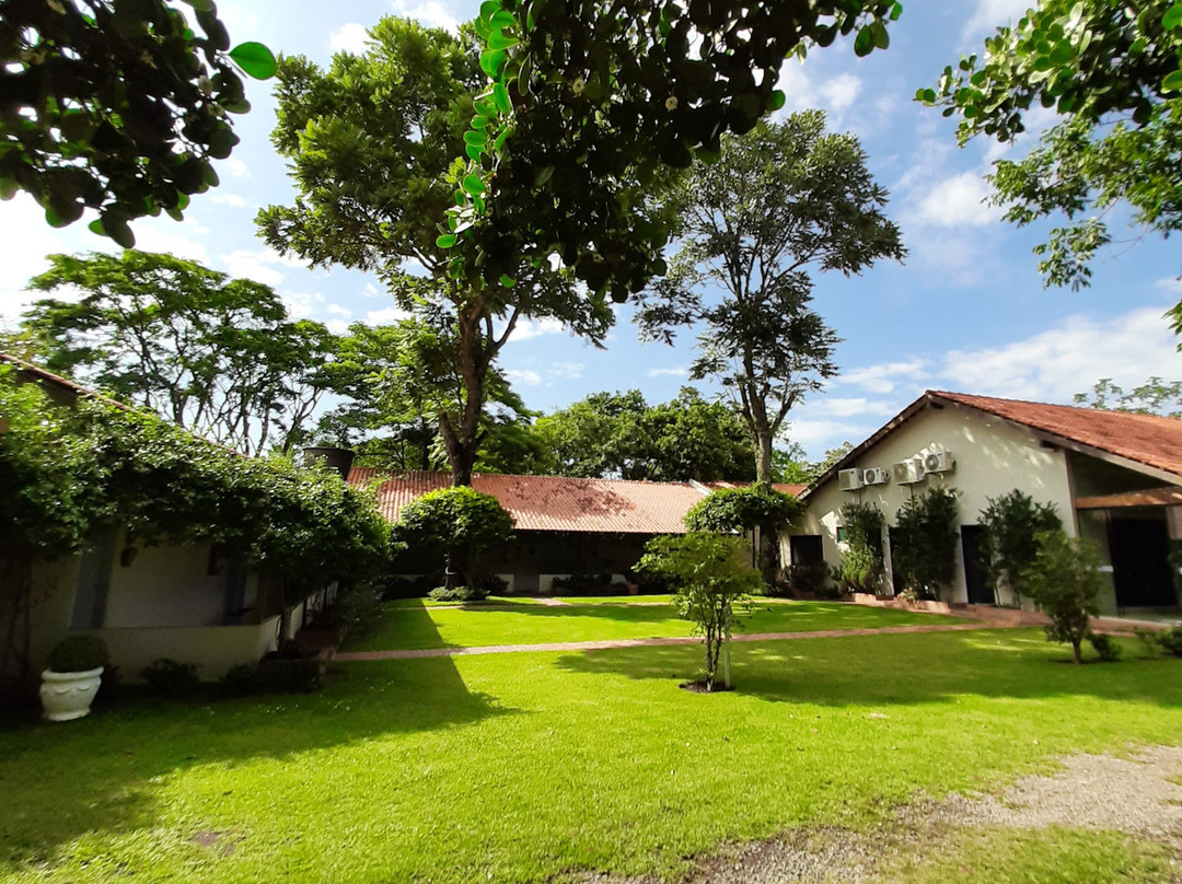 Bosque da Neblina主图