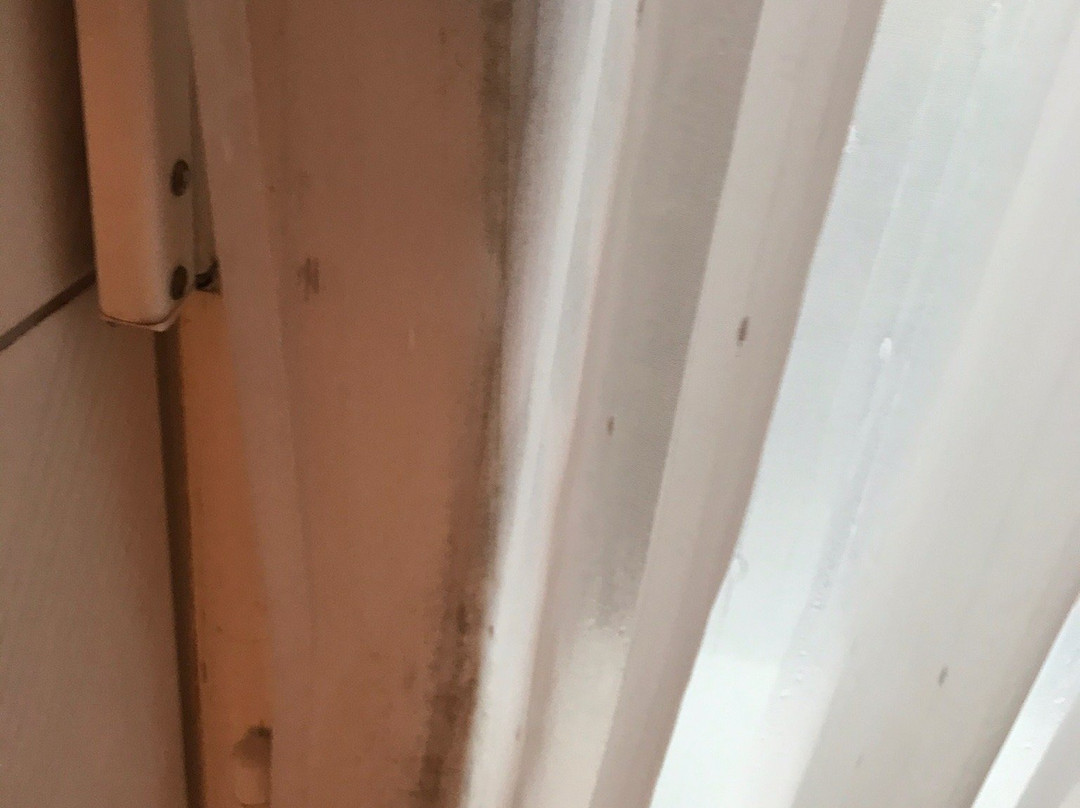 Hotel Trompeterschlossle am Seerhein主图