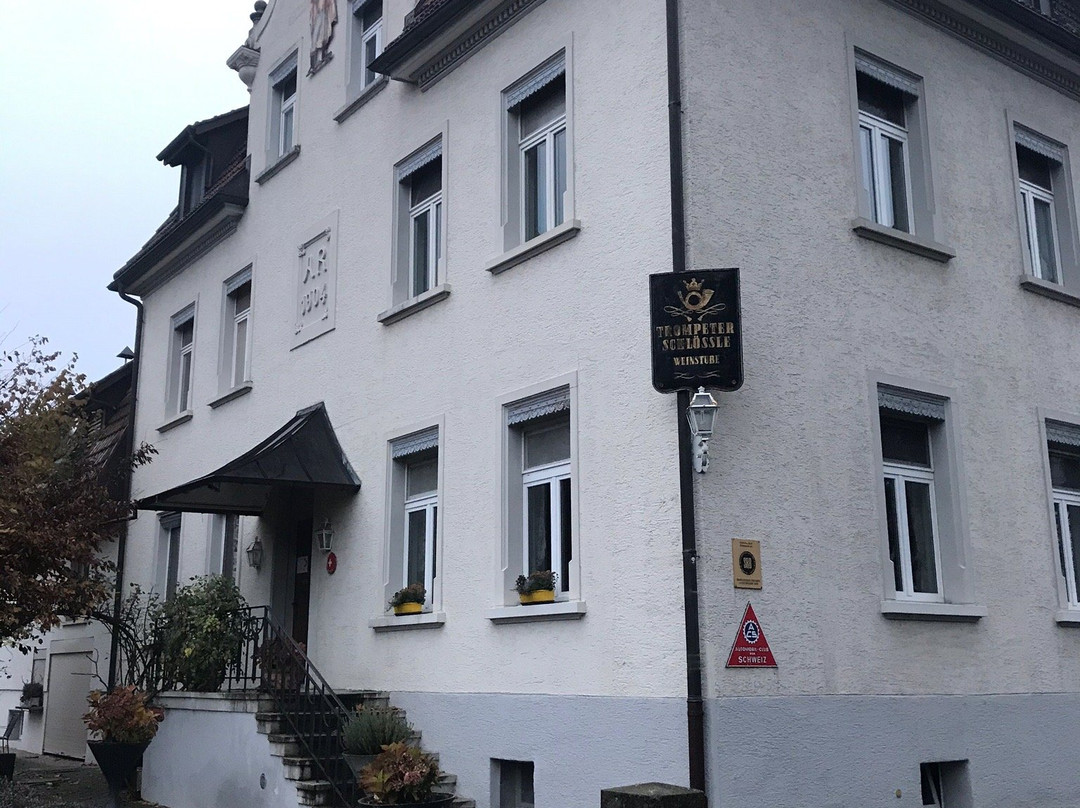 Hotel Trompeterschlossle am Seerhein主图