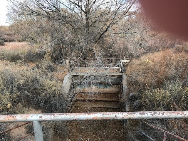 Rio Grande Nature Center State Park-阿尔伯克基必去景点