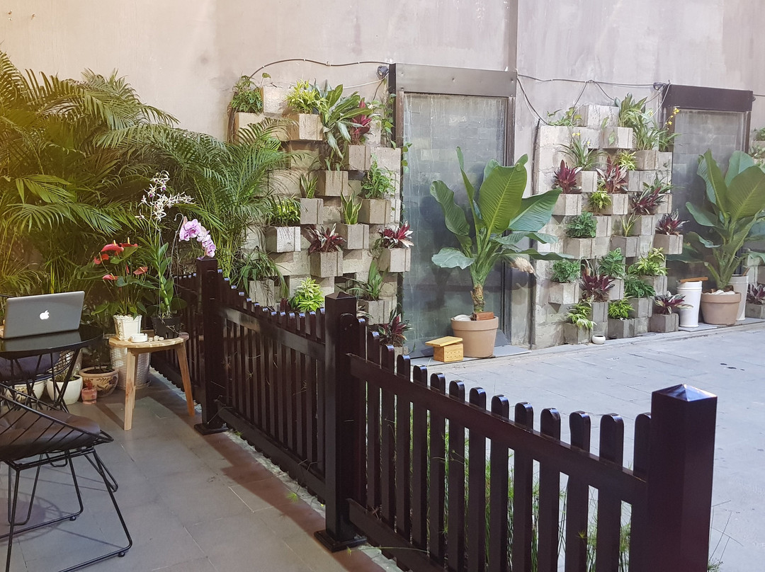 Zen Spa & Traditional Herbal Massage-Vinh Long必去景点