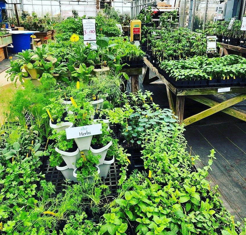 Community Gardens-巴斯特罗普必去景点