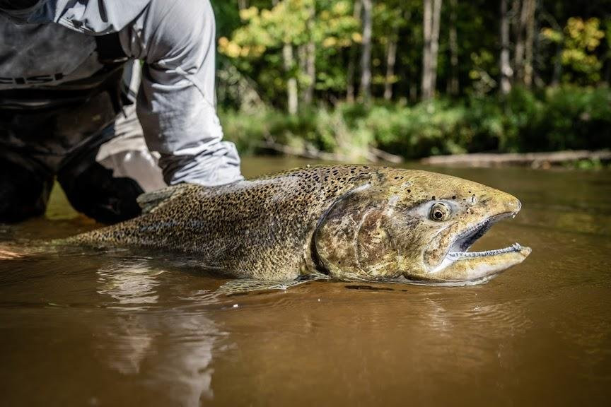 Tinger Guide Service-特拉弗斯城必去景点