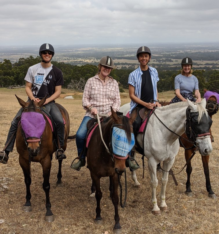 Jarrahdale Equestrian Centre景点图片