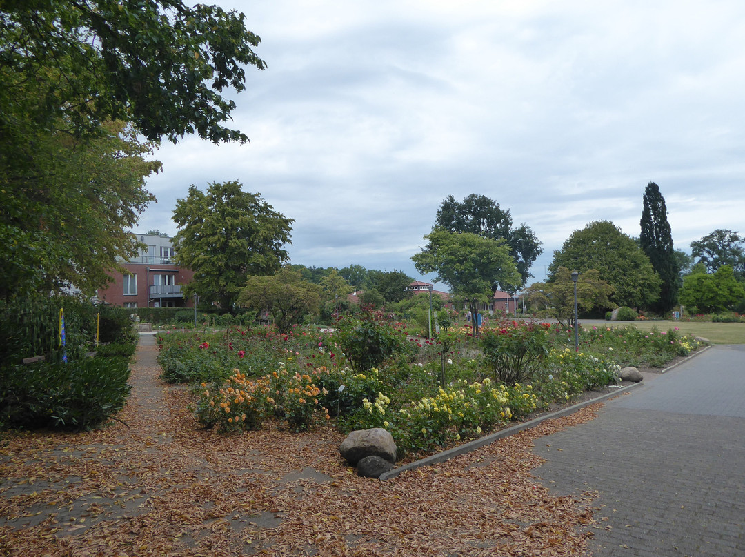 Rosengarten Seppenrade景点图片