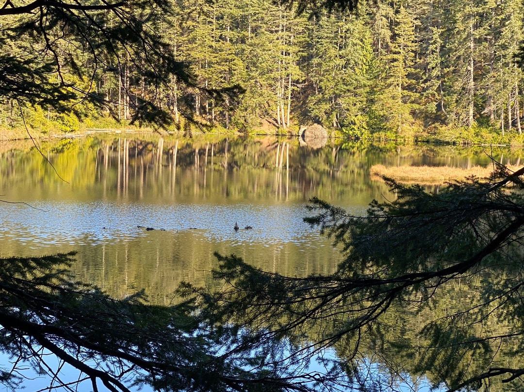 Cranberry Lake景点图片