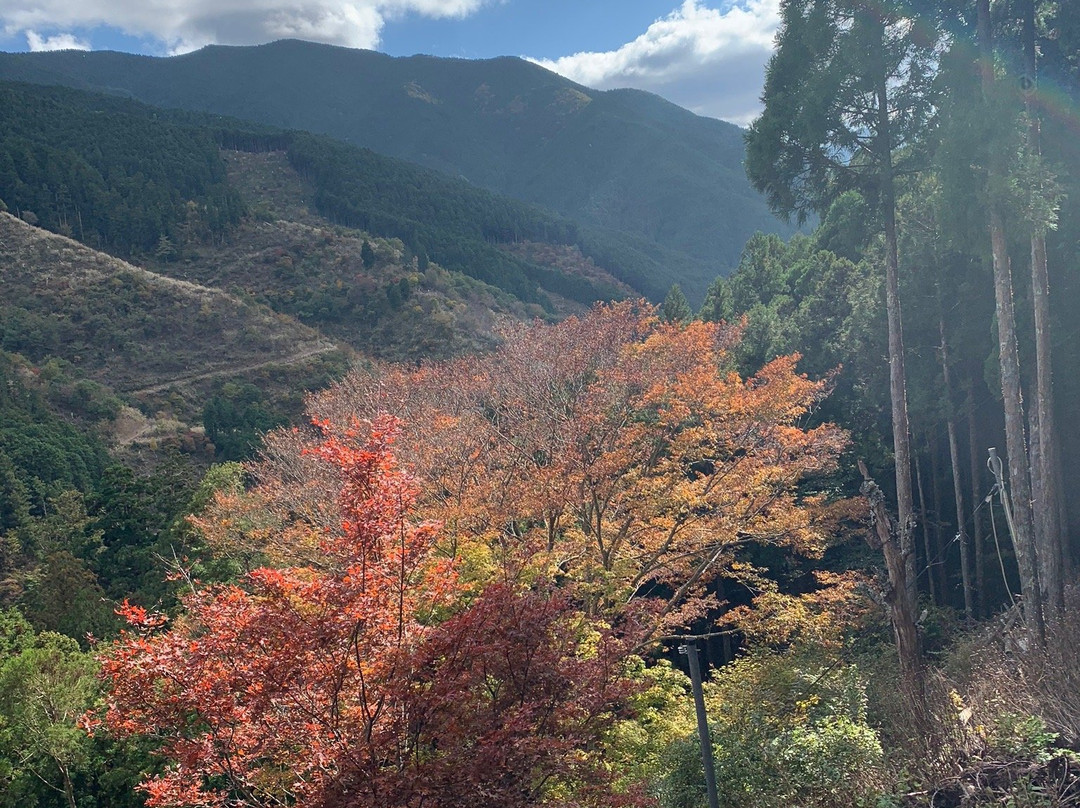 Menfudo Shonyudo景点图片