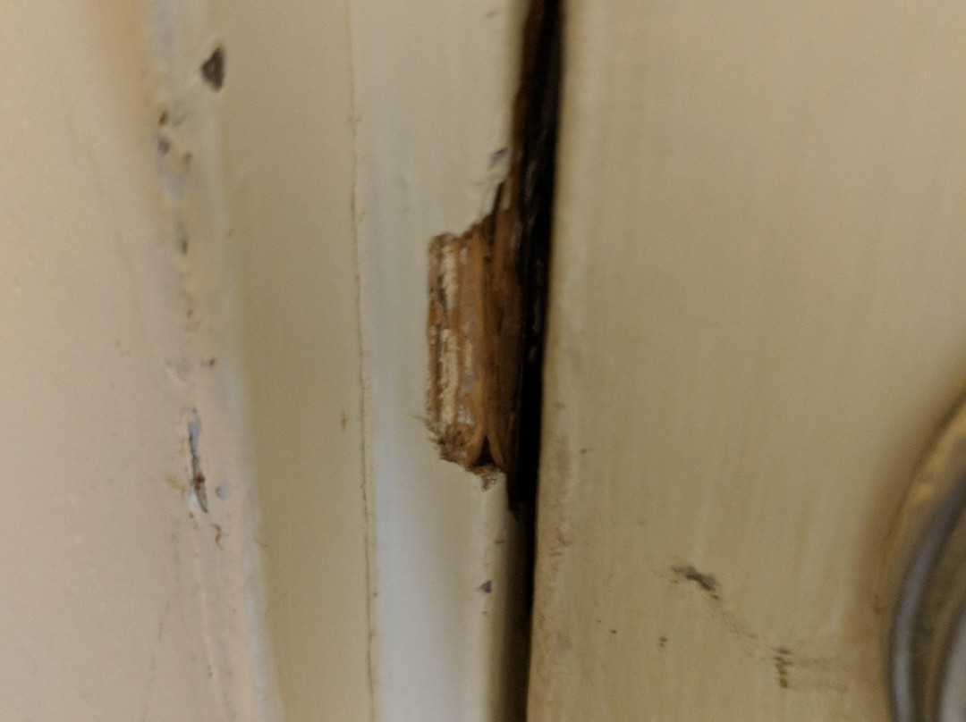 蓝色海豚旅馆主图