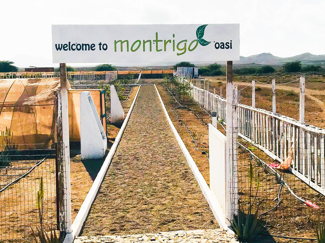 Montrigo Oasi景点图片