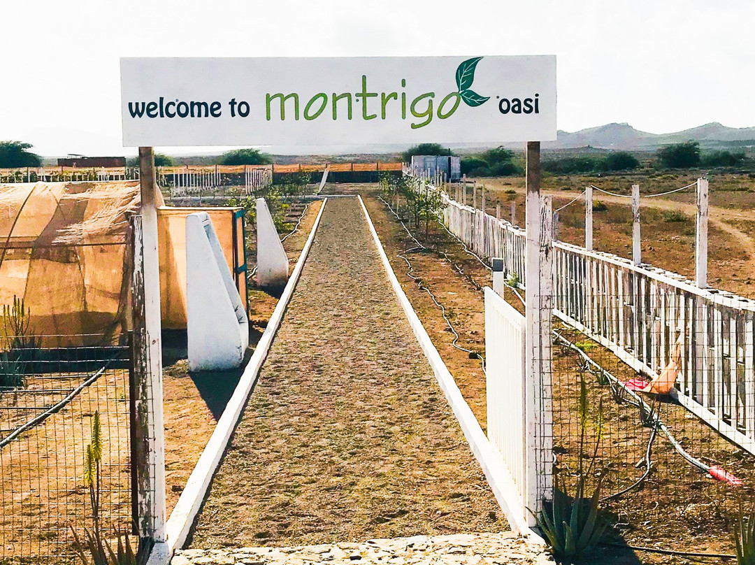 Montrigo Oasi-博阿维斯塔必去景点