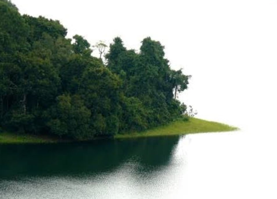 Peruvannamuzhi Dam-科泽科德必去景点