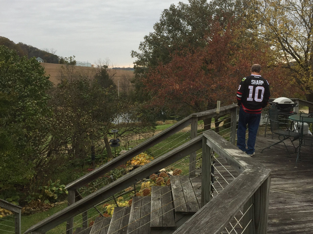 Hawk Valley Retreat & Cottages主图