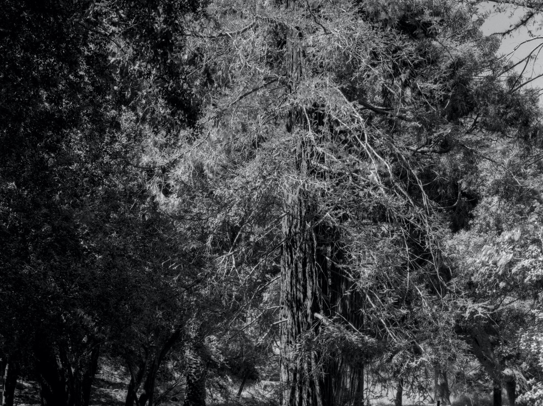 Arden Helena Modjeska Historic House and Gardens-莱克福里斯特必去景点