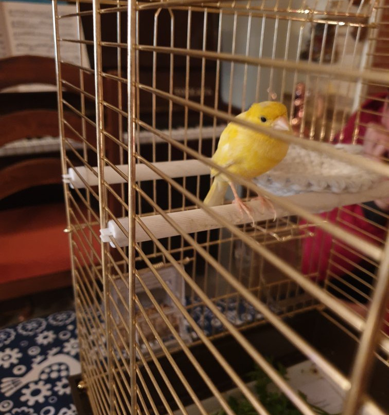 David Sultan Hotel主图