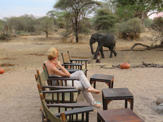 Mdonya Old River Camp主图