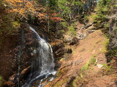 Go Fundy Tours-圣约翰必去景点