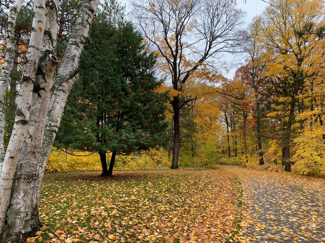 Green Heron Bed and Breakfast主图