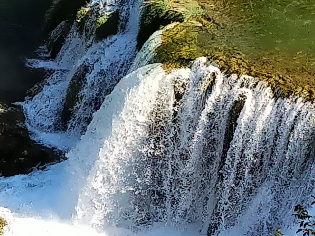Private Tourist Guide Croatia景点图片