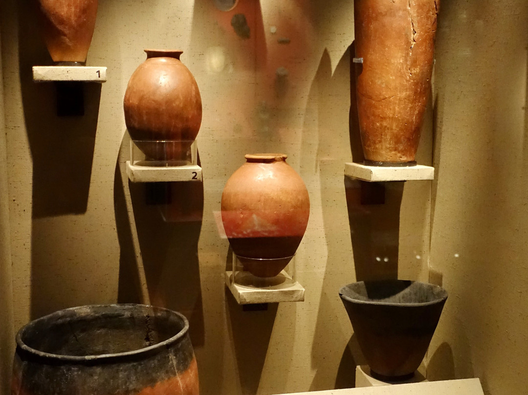 Leeds City Museum-利兹必去景点
