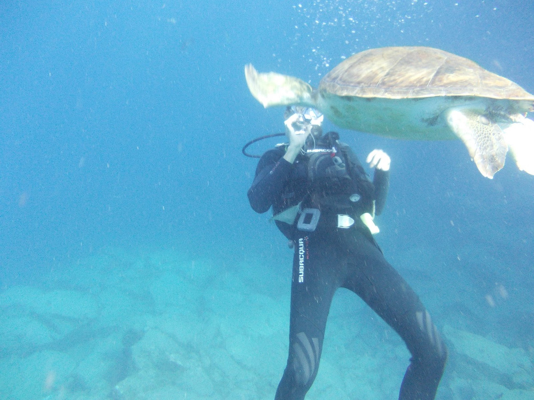 Tenerife Scuba-特纳里夫必去景点