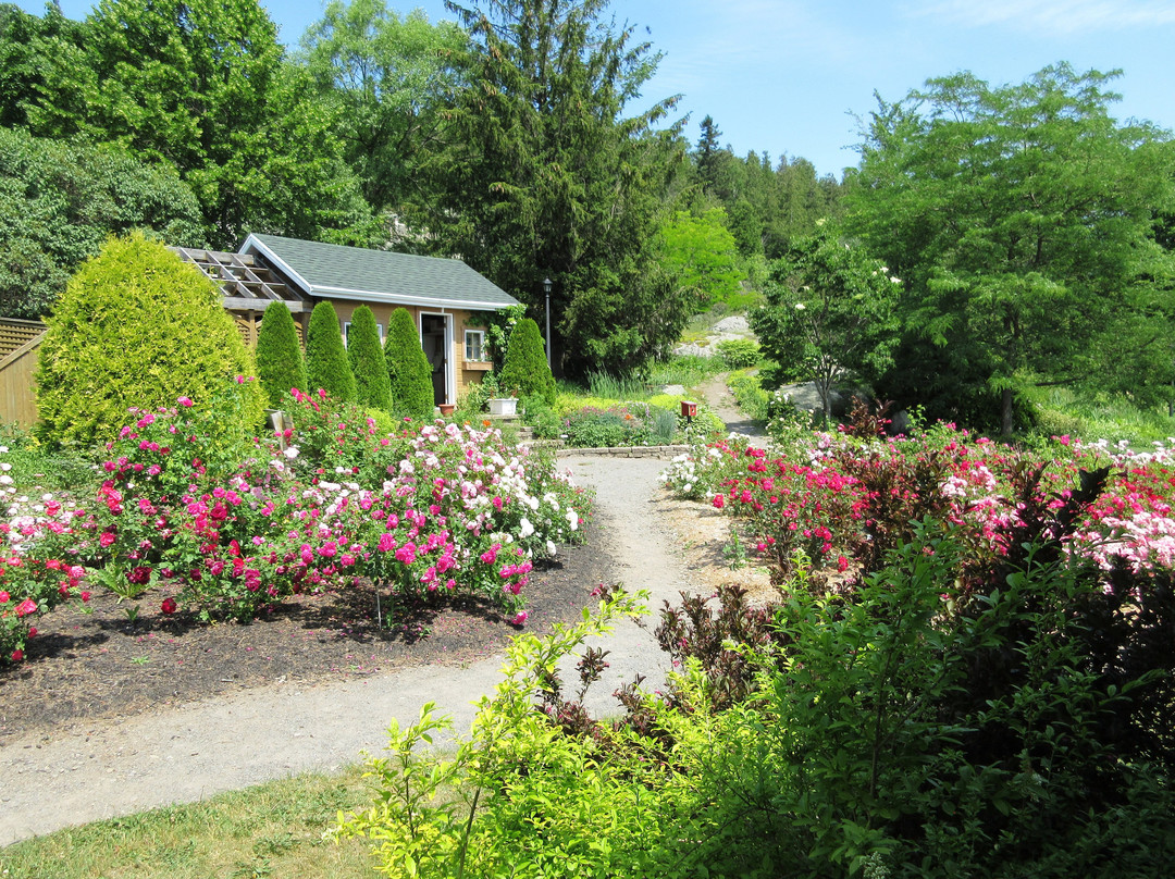 Jardin floral de La Pocatière景点图片
