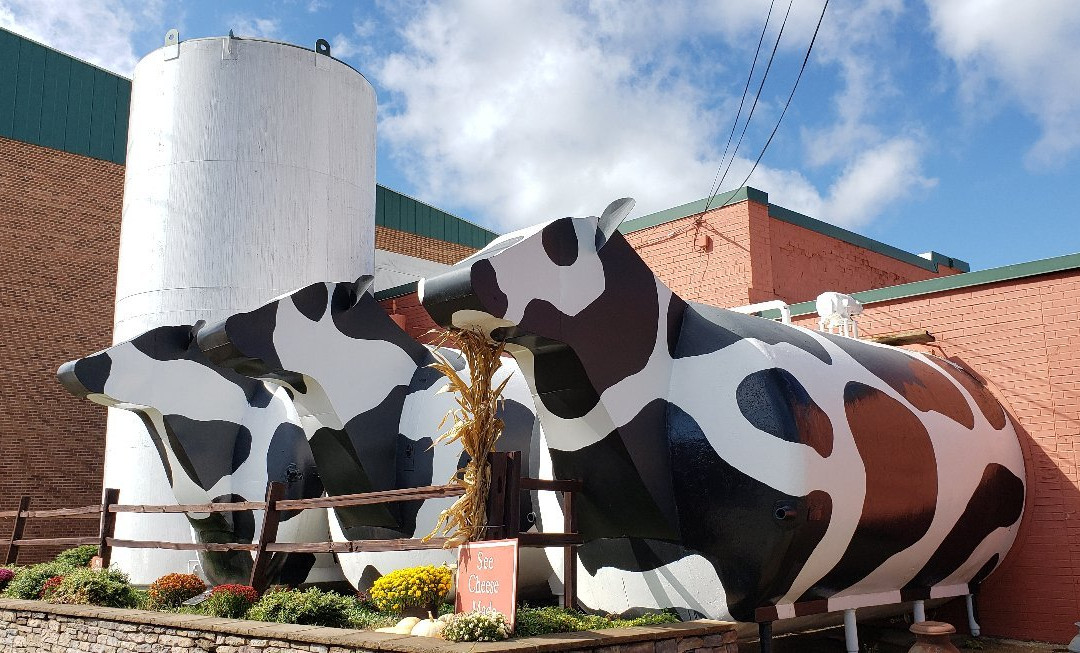Ashe County Cheese景点图片