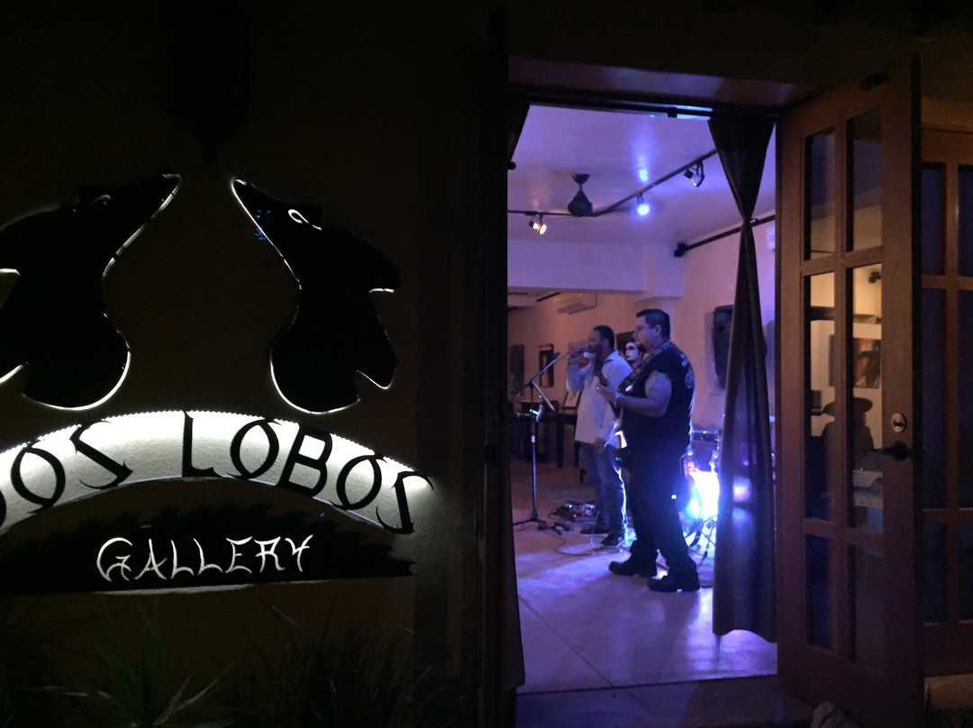 Dos Lobos Gallery景点图片