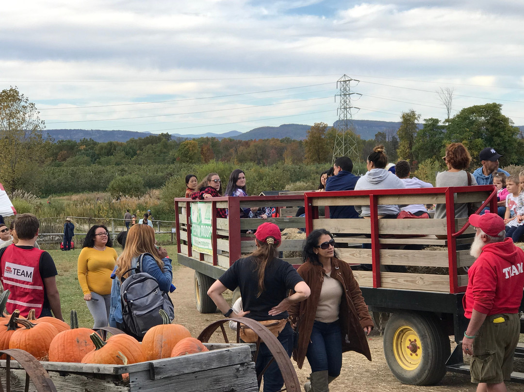 Hurd's Family Farm-Modena必去景点