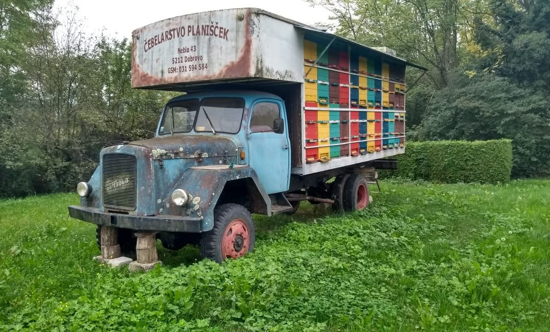 Farm stay Šibav B&B主图