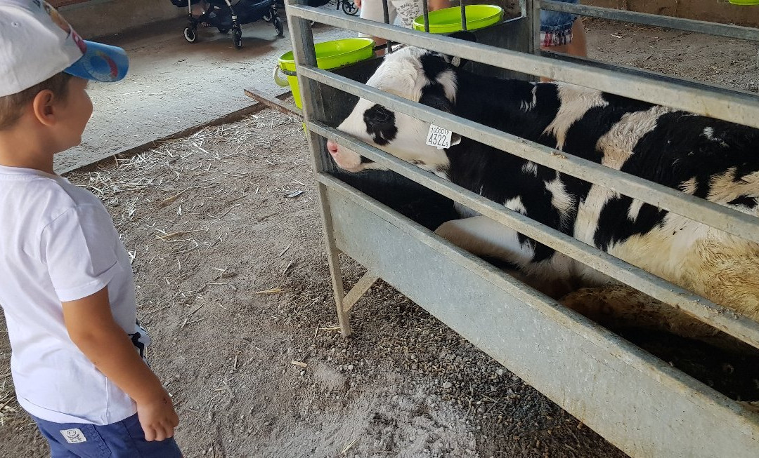 Shvil Parot HaChalav (Milky Cow Way)-Beit Lechem Haglilit必去景点