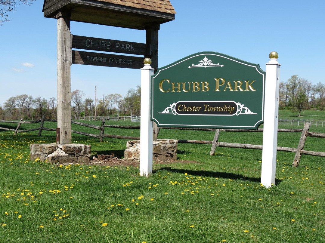 Chubb Park景点图片