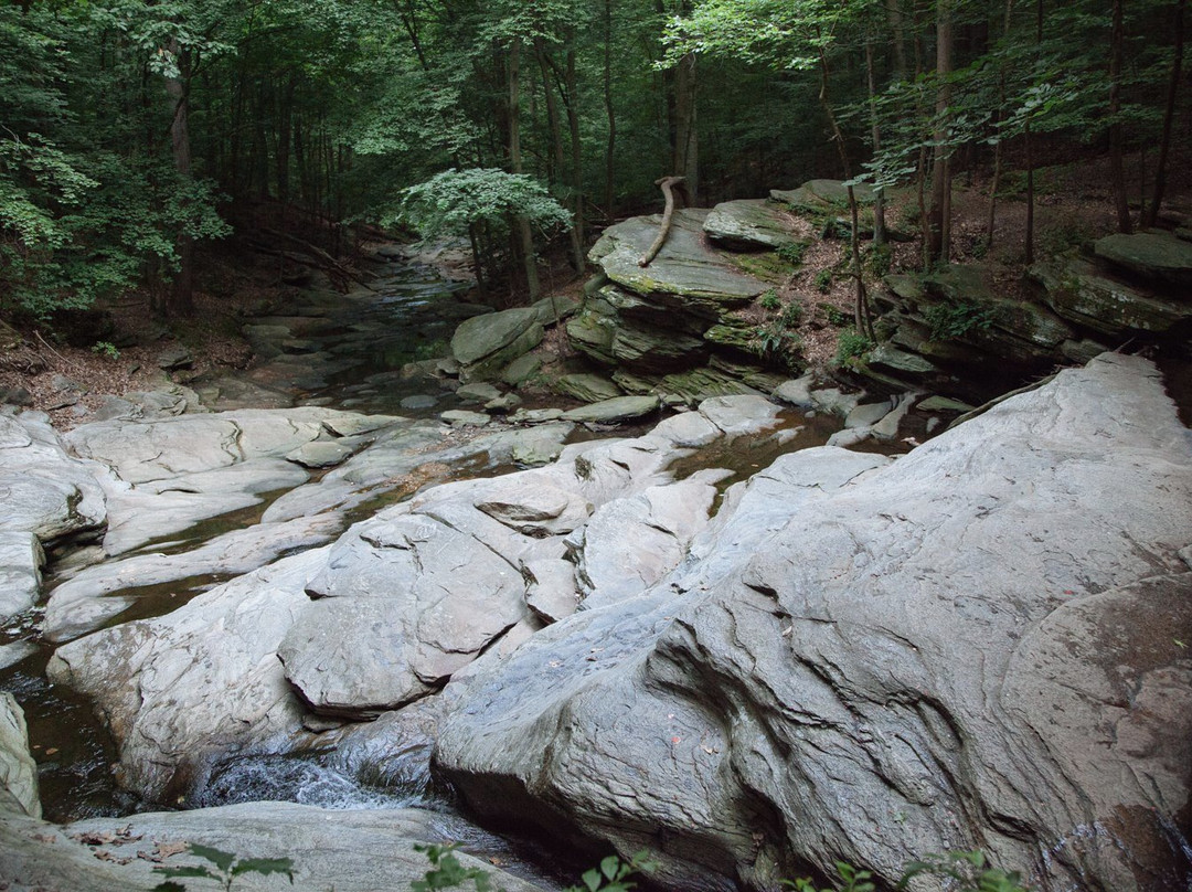 Double Rock Park景点图片