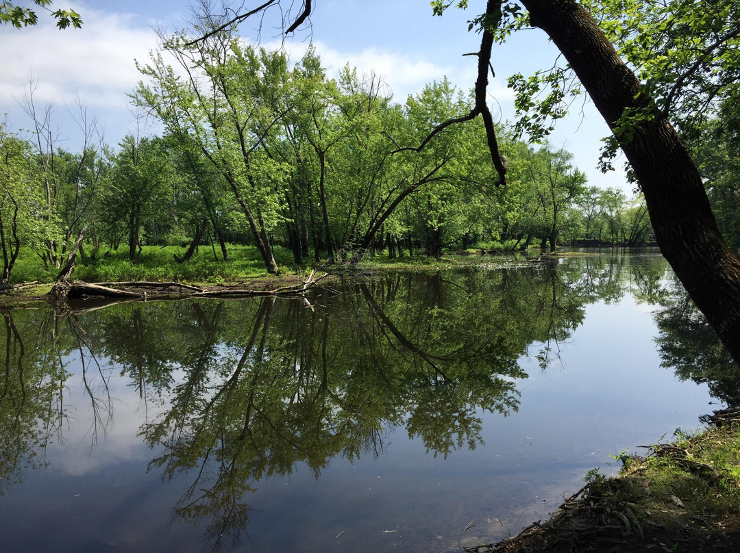 Mass Audubon Arcadia Wildlife Sanctuary景点图片