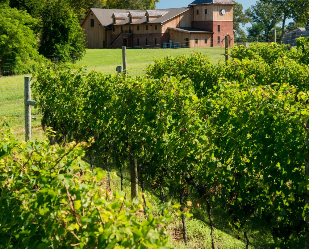 Chesapeake City旅游景点-Bohemia Manor Farm