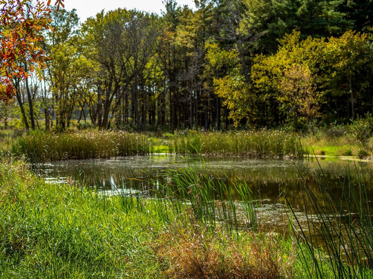 Minburn旅游景点-Lewis A. Jester County Park