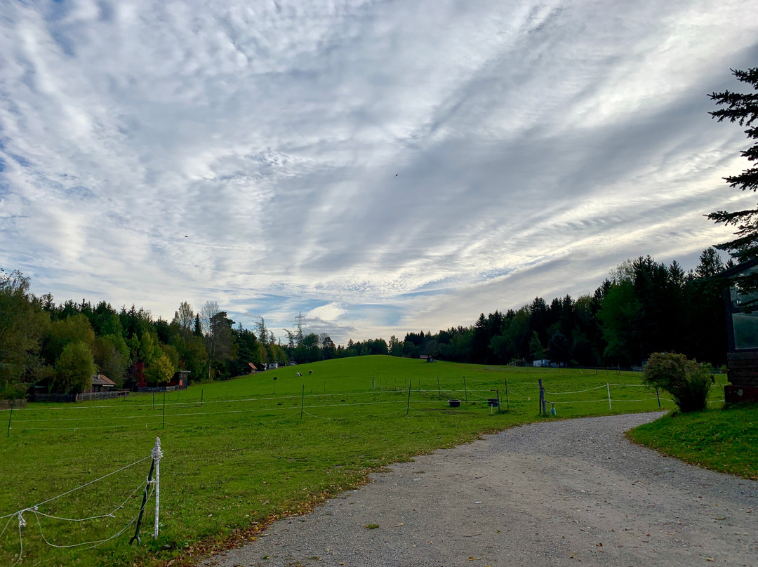 Wirtshaus Nattererboden主图